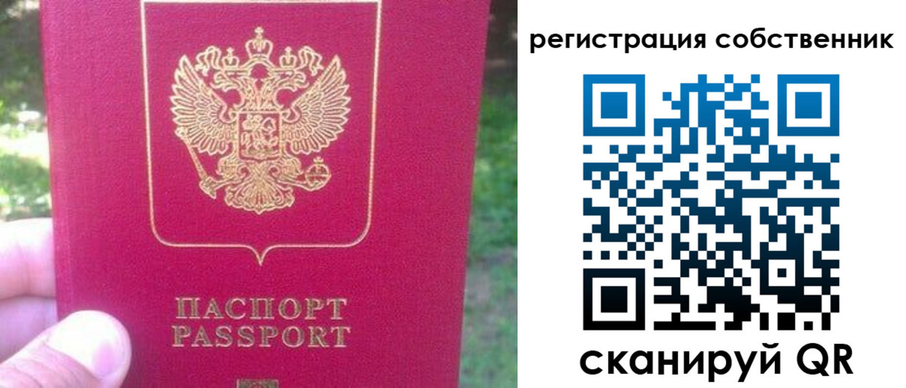 временная регистрация 2025 в Ивантеевке